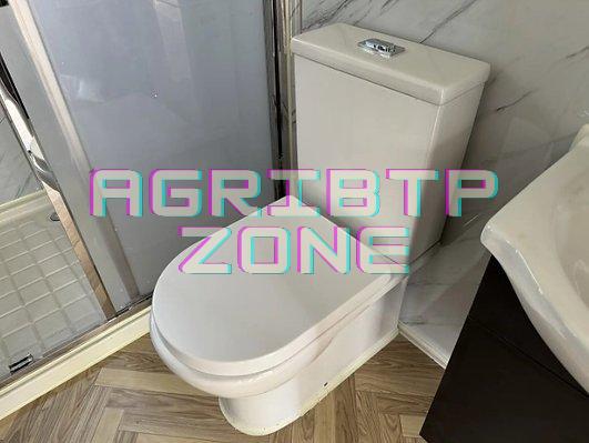 Conteneur Mobile Tiny House 2024 – Solution Compacte – Image 10