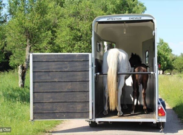 Van Cheval Liberté Touring One – 1.5 Place, Confort et Sécurité – Image 5
