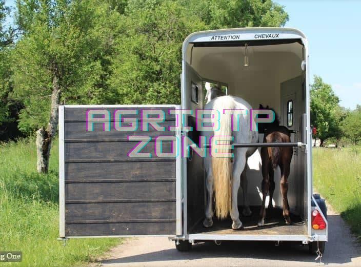 Van Cheval Liberté Touring One – 1.5 Place, Confort et Sécurité – Image 5